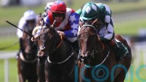 Mooneista primed for Sapphire defence at the Curragh