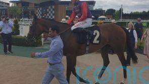 Perfect Alibi hits Newbury target