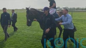 Dubawi Legend to stick to sprinting route after Newbury third