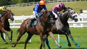 Mr Wagyu given Stewards&rsquo; Cup green light