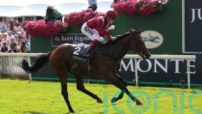 Mishriff does everything right for new rider Doyle in pre-Ascot workout