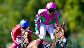 Prix Rothschild set to be next assignment for Prosperous Voyage