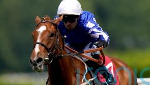 Dance In The Grass looks to have bright future