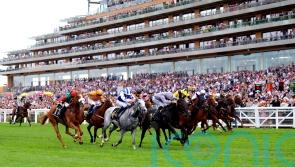 Fresh completes International mission for Fanshawe