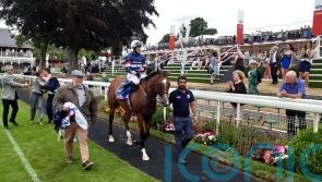 Sir Busker outpoints Dubai Honour for York Stakes glory