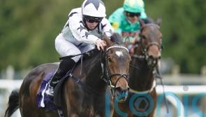 Oscula makes swift return in search of Oak Tree honours