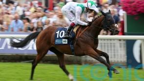 Hoo Ya Mal back in action for new yard at Goodwood