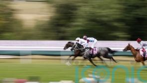 Oscula shows grit and class in equal measure to take Oak Tree prize