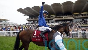 Brilliant Baaeed stays unbeaten with dominant Sussex display