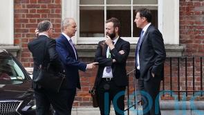 Coalition talks on agriculture carbon emissions target set to resume