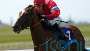 Wesley Joyce suffers chest injuries in Galway fall