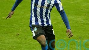 Fisayo Dele-Bashiru double earns Owls a draw in six-goal thriller against Pompey