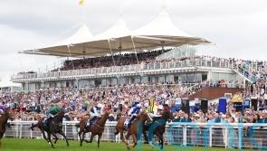 Commanche Falls claims historic Stewards&rsquo; Cup repeat