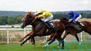 Fellowes trying to stay grounded with exciting Marbaan