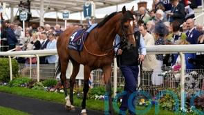 Deauville next for El Bodegon &ndash; and Leger also on the radar