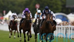 Loughnane eyeing Nunthorpe tilt for Walbank