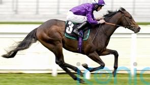 Loughnane backing Bears to rise to Phoenix challenge