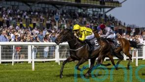 Fahey eyeing autumn options for Perfect Power