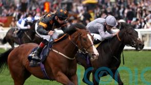 Rohaan to hunt Group One gold in Sprint Cup