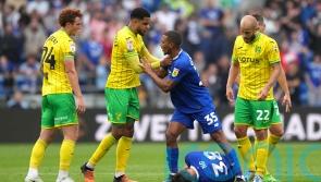 Cardiff and Norwich fined by FA after flashpoint in recent Championship clash