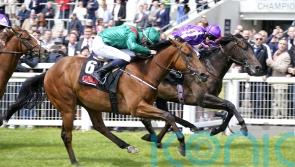 National Stakes in the reckoning for Shartash