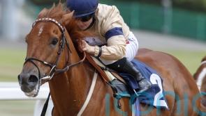 Hollie Doyle hails &lsquo;star&rsquo; Glen Shiel as Group One winner is retired