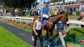 Queen team &lsquo;mad keen&rsquo; to take Nunthorpe chance