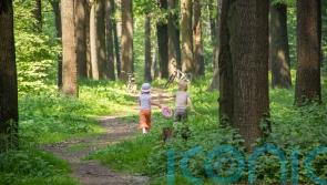 EXPLAINED: How to get children active