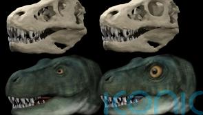 EXPLAINED: How dinosaurs evolved different eye socket shapes to allow stronger bites