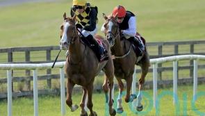 Raise You rises once more at the Curragh