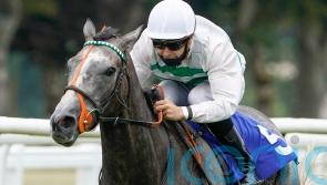 First domestic Group One in sight for Arc hope Alpinista