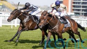 Tempus team eyeing Deauville date ahead of QEII finale