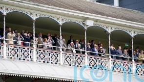 Derby expecting York fireworks as Ebor meeting gets underway