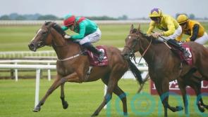 Coco team wary of Alpinista challenge ahead of Yorkshire Oaks date