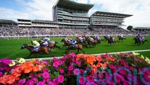 Bergerac on the case for York supporters