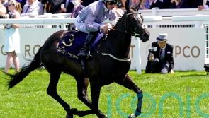 Dramatised aiming for another winning performance at York