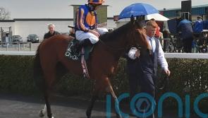 Aesop&rsquo;s Fables the pick of Moore in red-hot Futurity Stakes