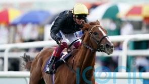 Bad timing for Stradivarius team scuppers York bid