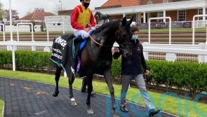 Dunlop looking to Leeper to deliver Ebor honours