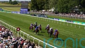 July Stakes runner-up Show Respect sold to Hong Kong