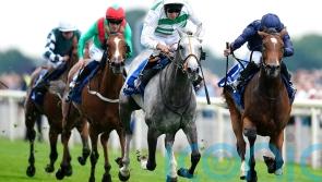 Prescott would like Haggas to &lsquo;stick to his guns&rsquo; with Baaeed