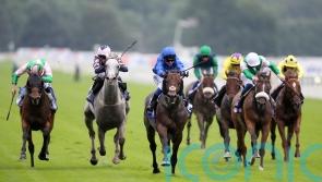 Bin Suroor looking to Newmarket or Paris with Real World