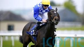 Connections thrilled with Matilda Picotte performance at York