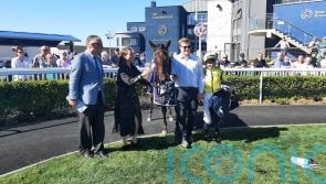 Perfect News for Haggas in Naas feature