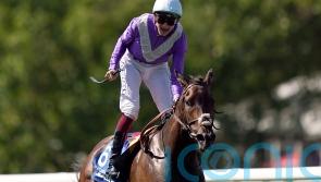 Setback rules Alcohol Free out of Haydock Sprint Cup