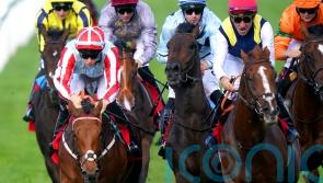 Egan: Harry Redknapp has a smart one with Knockhill