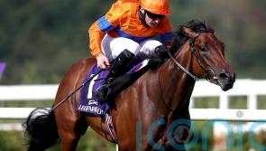 Agartha back on track with Fairy Bridge triumph