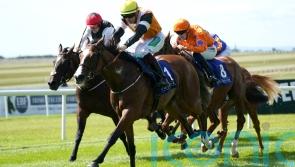 Aspen Grove records 66-1 surprise at the Curragh