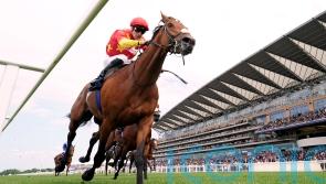 &lsquo;Remarkably talented&rsquo; State Of Rest heads for retirement