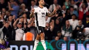 Aleksandar Mitrovic and Fulham end Brighton&rsquo;s unbeaten start